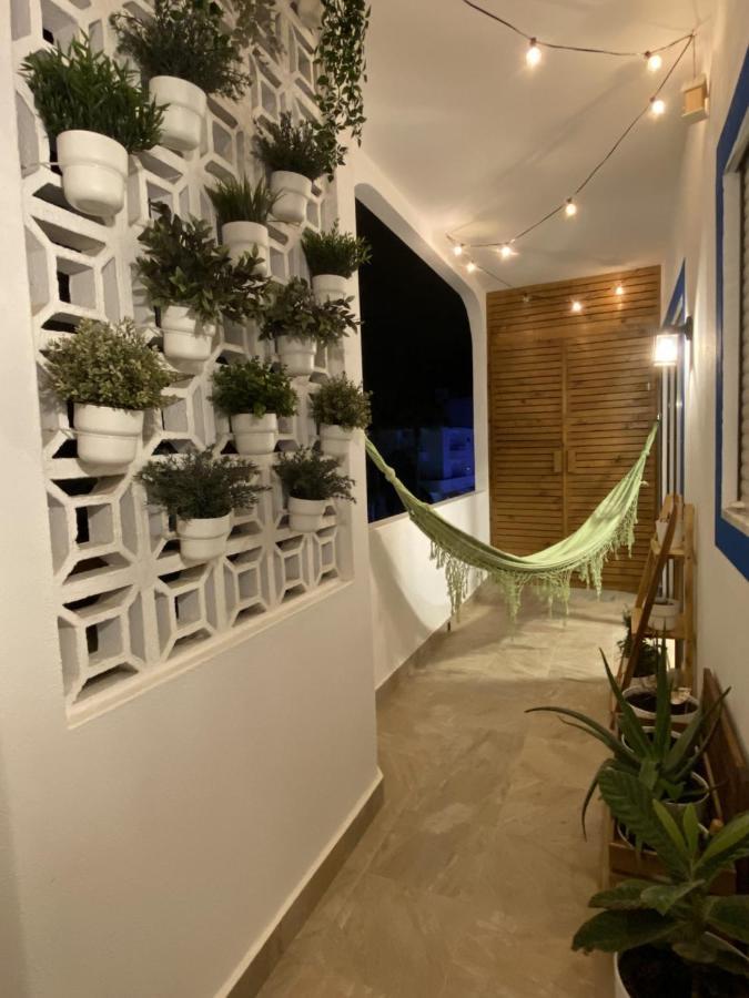 卡武埃鲁Cosy Top Floor公寓 外观 照片